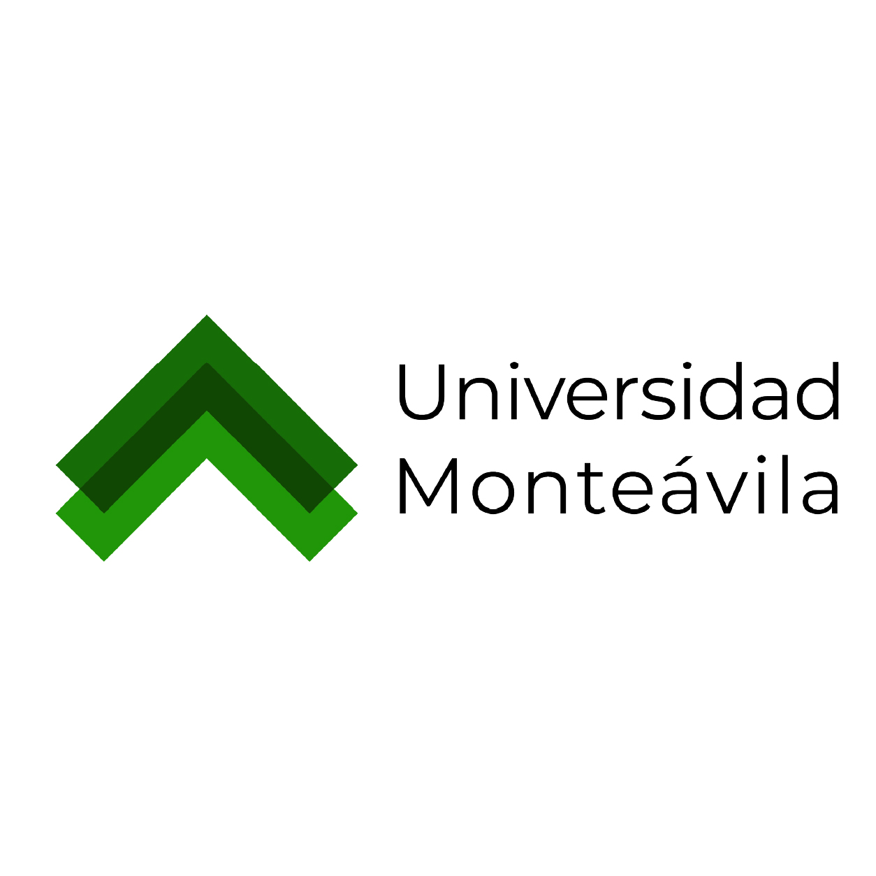 Universidad Monteávila